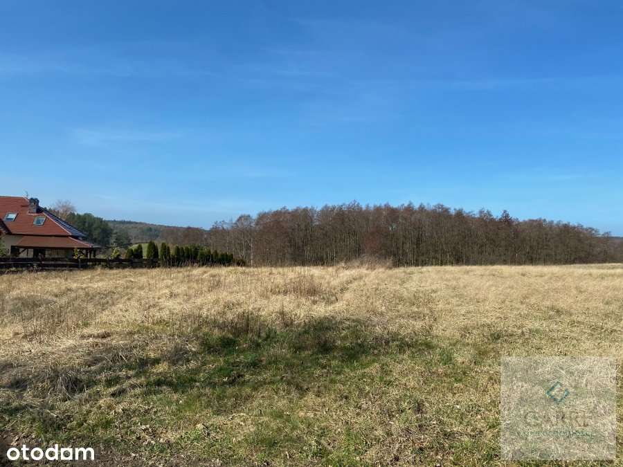 Działka na wyspie Wolin w Kołczewie przy polu golf - Pełny obrazek: 5/8