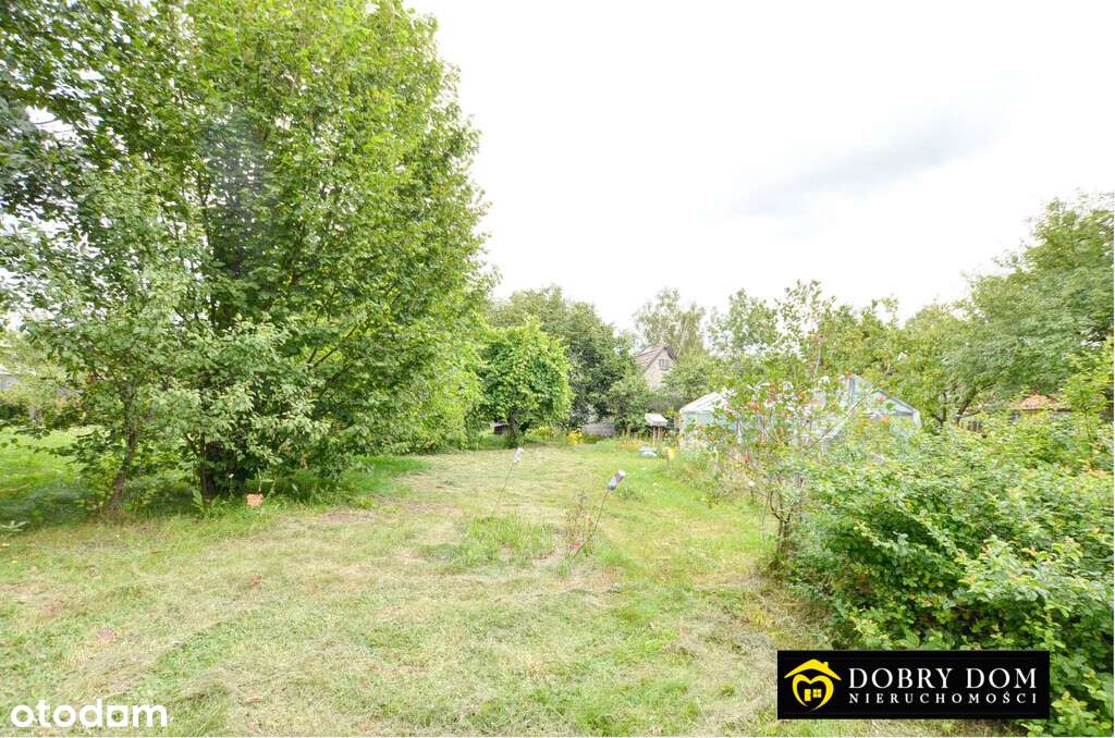 *** SIedlisko***Lipiny k. Hajnówki*** 6207m2*** - Pełny obrazek: 4/4