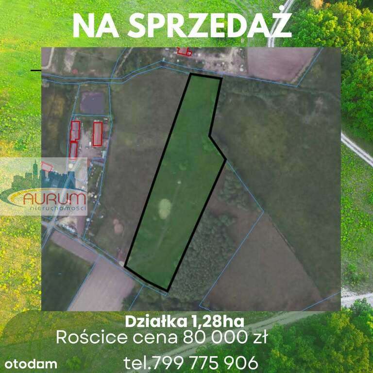 działka - 1,28 ha,  Rościce-0