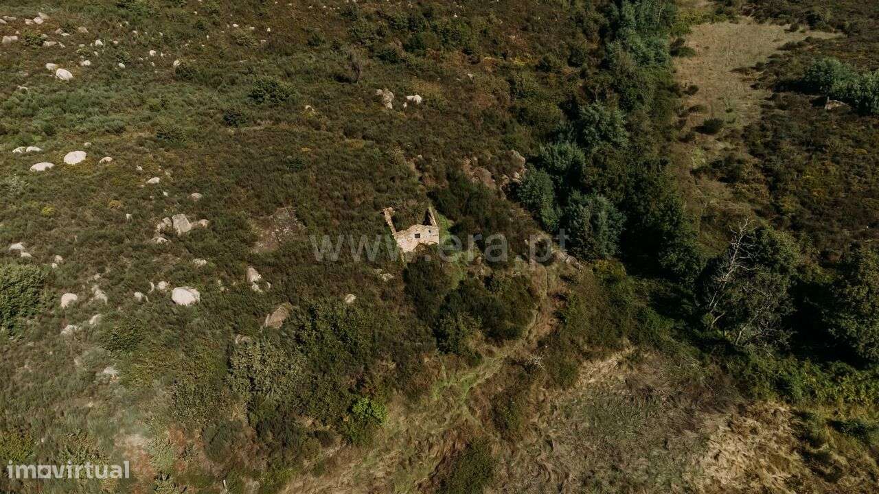 Quinta / Seia, Paranhos - Grande imagem: 4/8