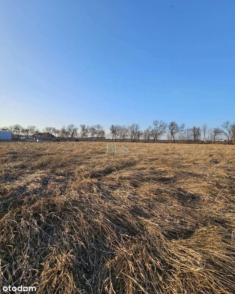 Zabudowa uslugowa, magazynowa-2