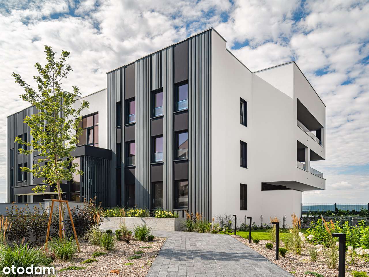 68 mkw | 3 pokojowe z aneksem | OGRÓDEK 87 mkw | N.A.00.04 - Pełny obrazek: 5/25