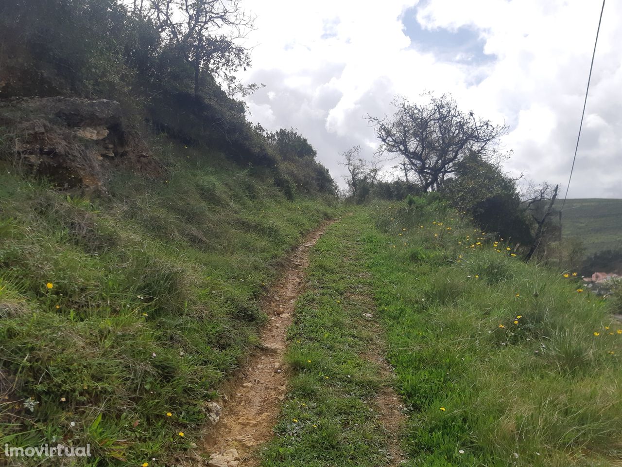 Terreno rústico em Bocal de Cima, Ponte de Lousa