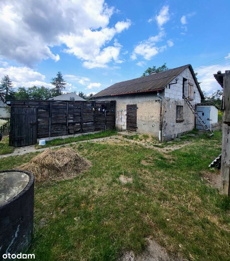 Promocja nowo roczna, Dom na wsi z dużym potencjałem Drzycim, okazja! - Pełny obrazek: 4/20