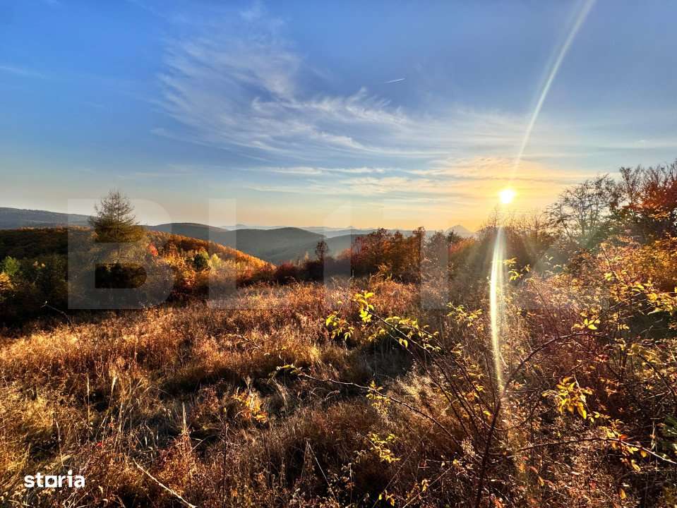 Teren de vanzare - Imagine principală: 1/3