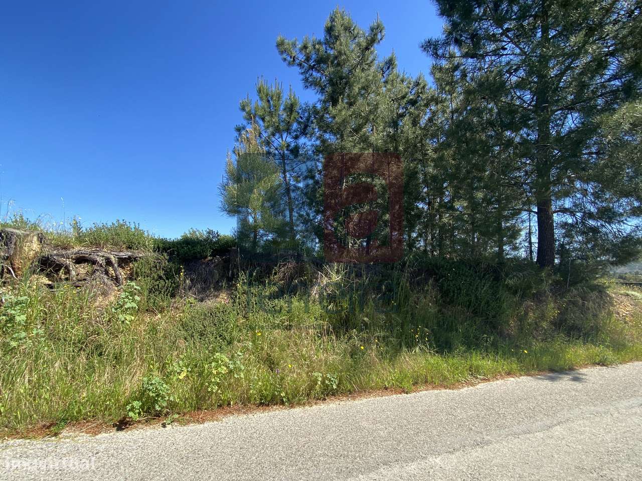 Terreno para construção em Paço dos Negros-11