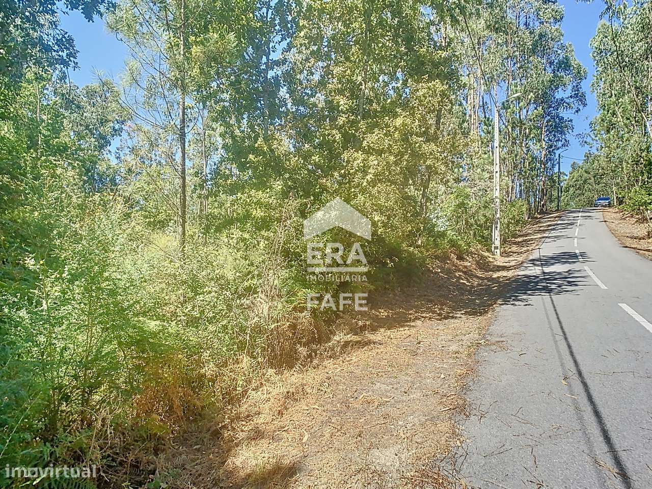 Terreno com 1.400m2 em Ardegão, Fafe - Grande imagem: 4/6