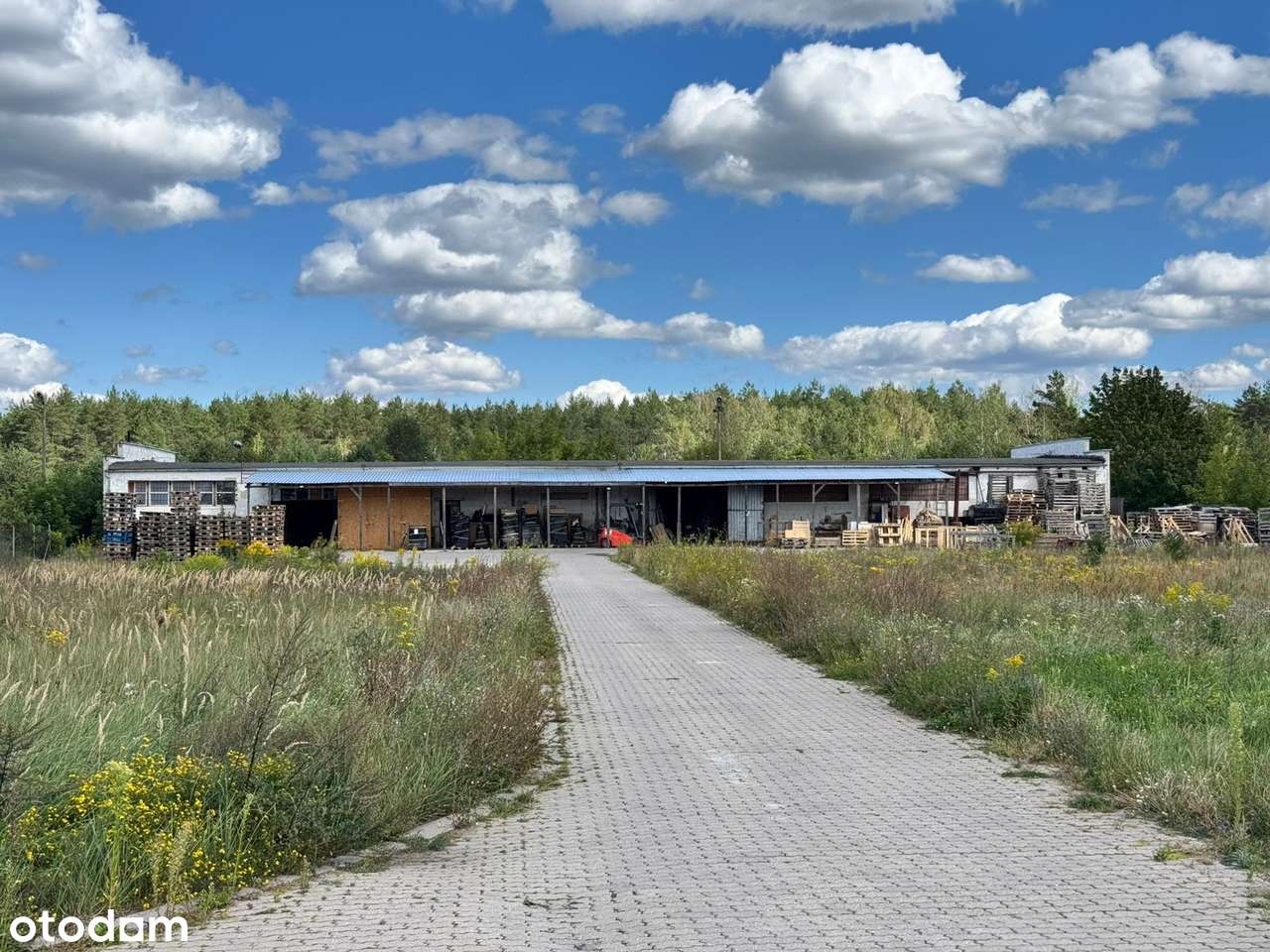 Hale produkcyjne magazynowe zespół budynków 3800 m2 działka 5 Ha-8