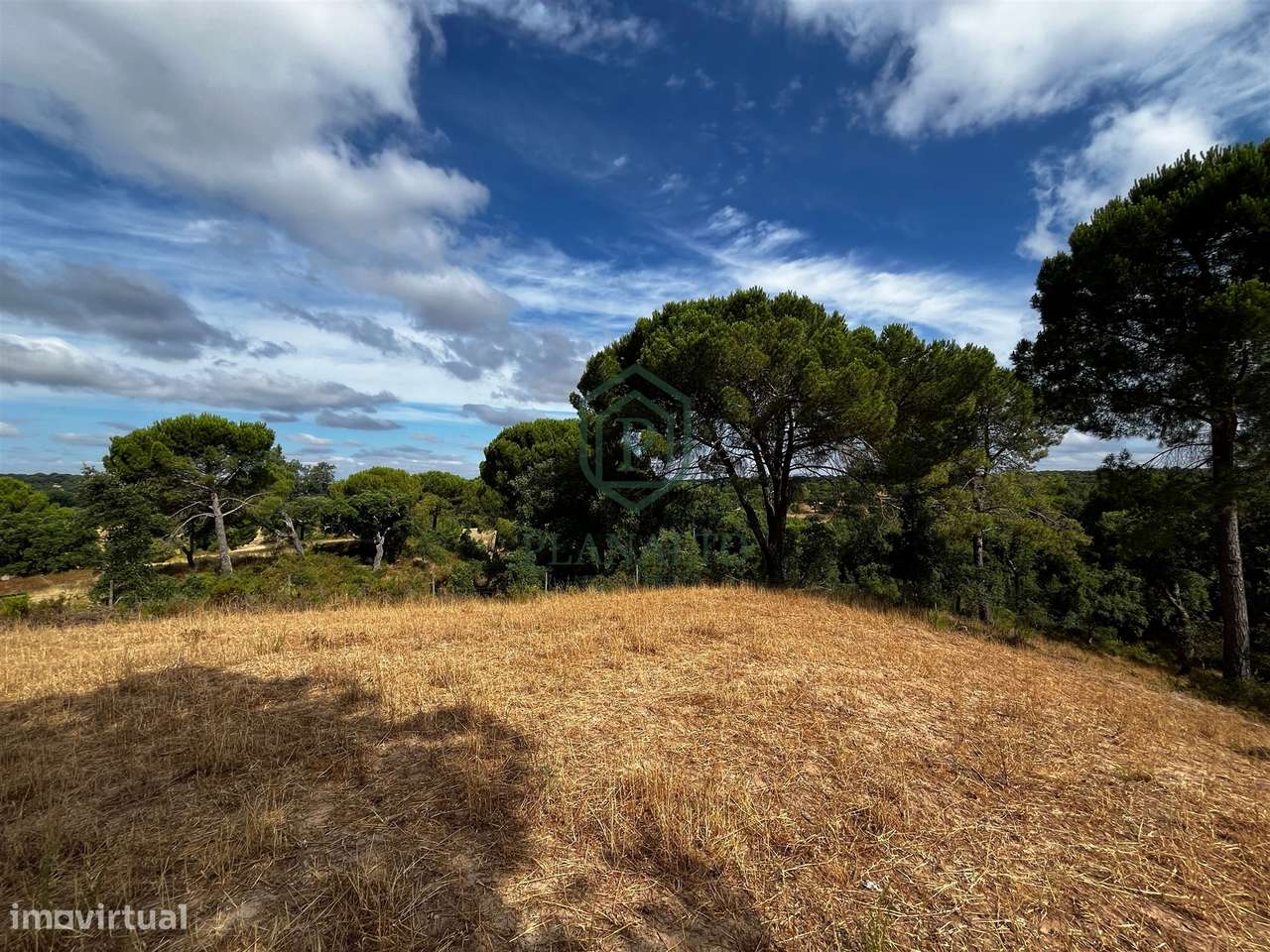 Quinta >=T10 Venda em Cortiçadas de Lavre e Lavre,Montemor-o-Novo-36