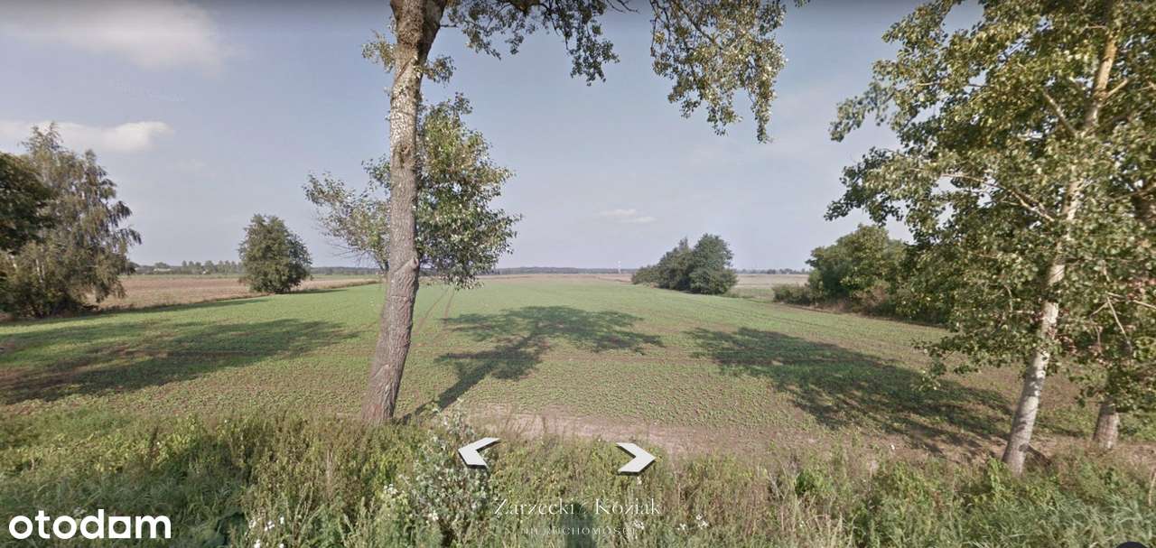 Działka Inwestycyjna | 6.099m2 | Uzbrojona | Morze - Pełny obrazek: 5/6