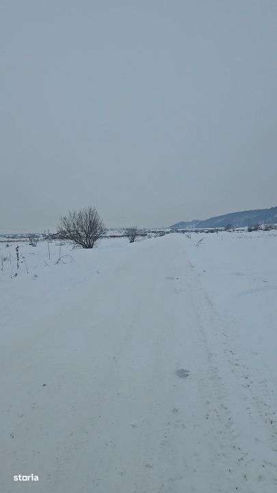 Hala de 600mp, teren de 1200mp, Gilau - Imagine principală: 2/4