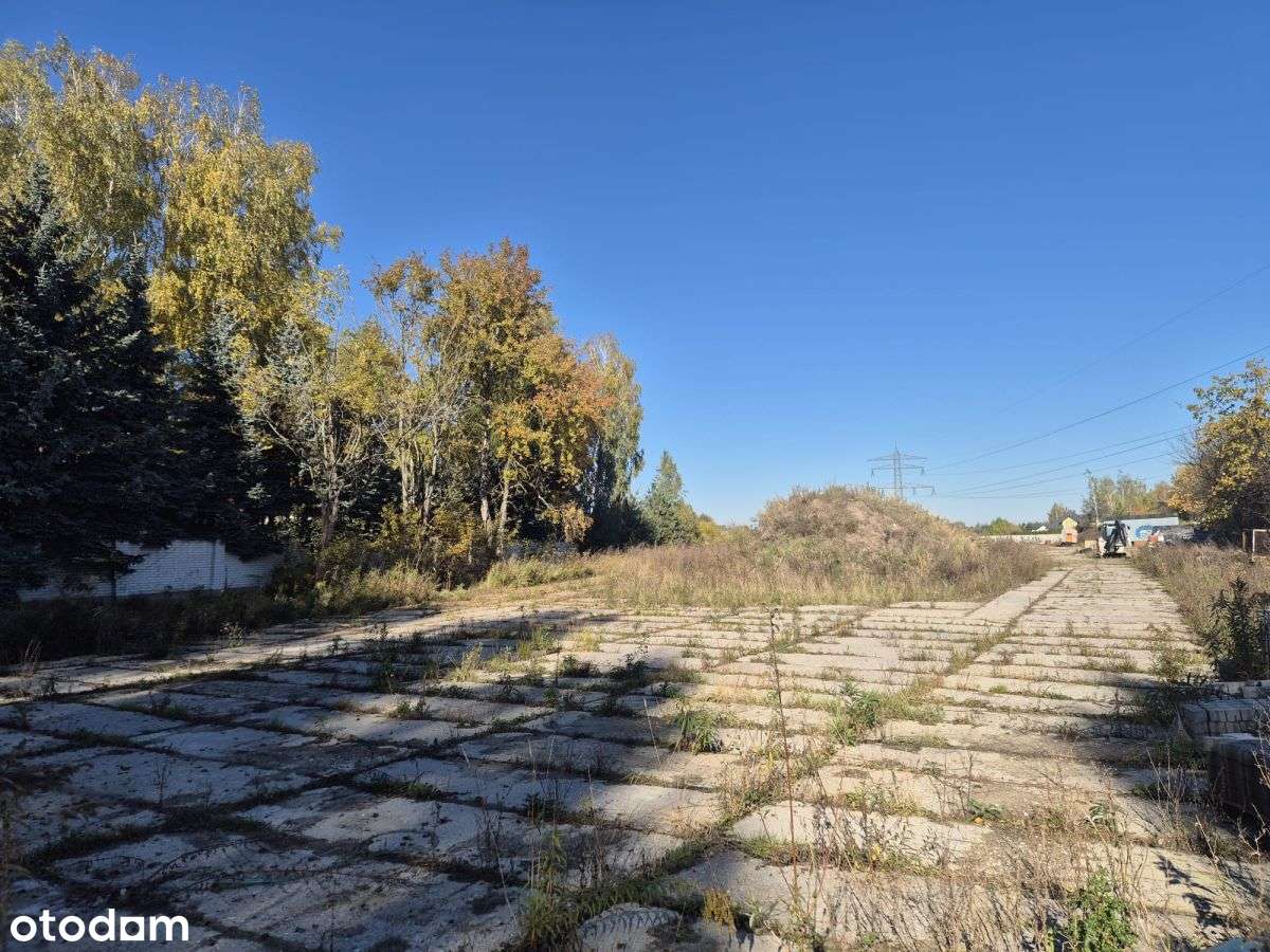 Działka 7100m2 | Ogrodzona | Cicha okolica-5
