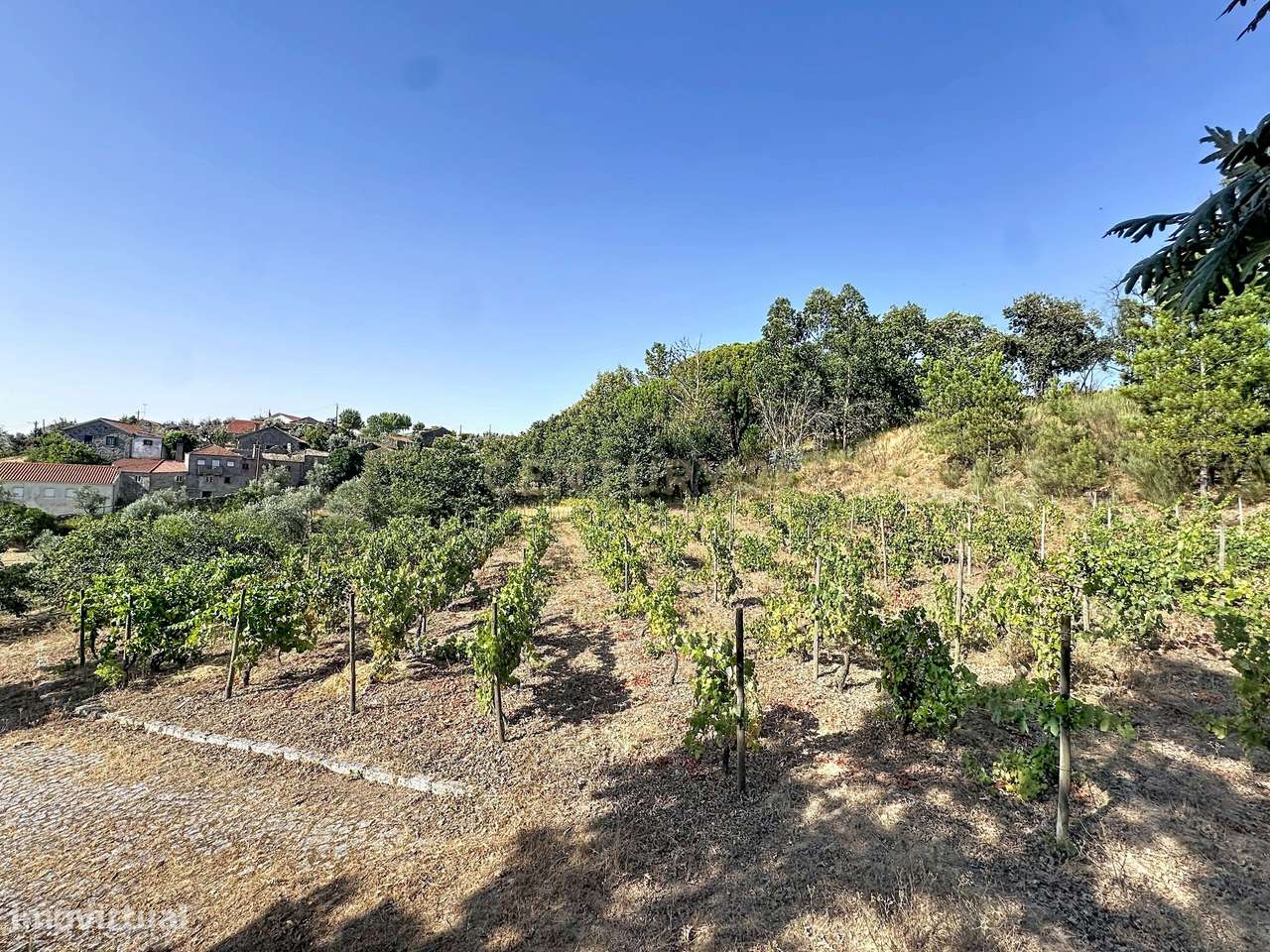 Moradia Térrea com Vista Panorâmica e 4.500 m² de Terreno | Vila Cova,-56