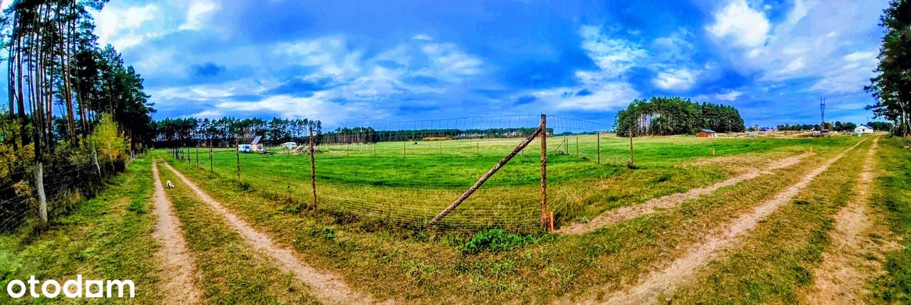 Miejsce, gdzie natura ma swoje skrzydła - Pełny obrazek: 3/20