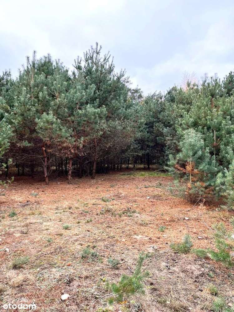 Działki budowlane w Pawłowie Skockim-4