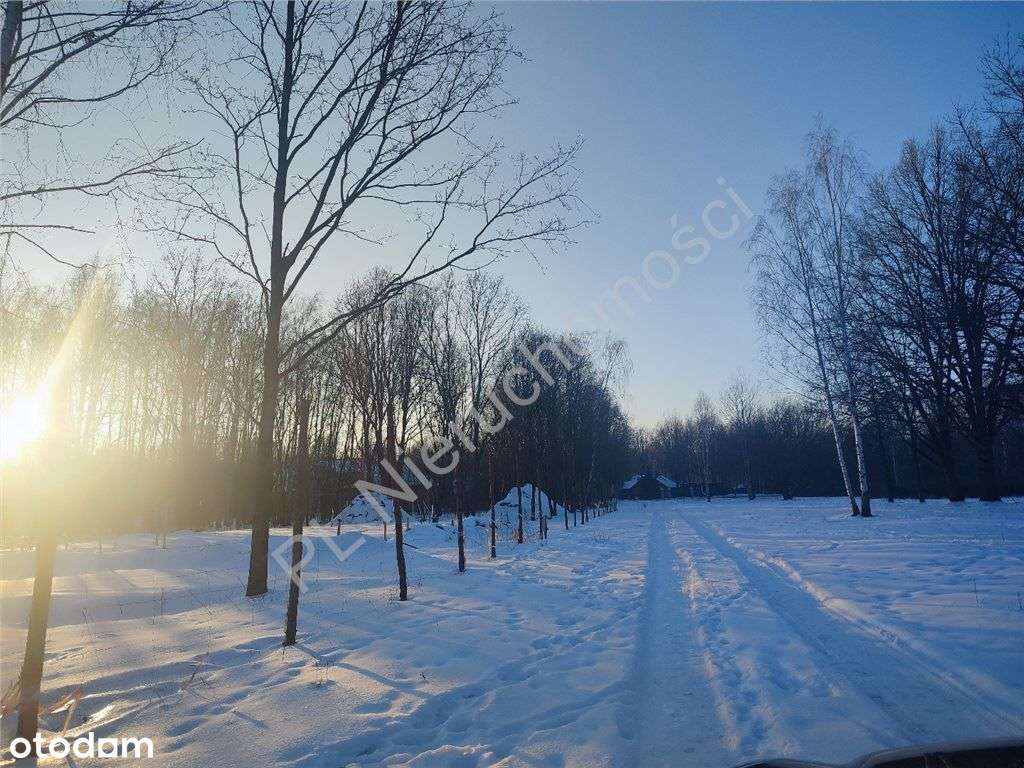 Duże działki na osiedlu przy lesie z Wz-0