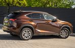 Lexus NX - 14