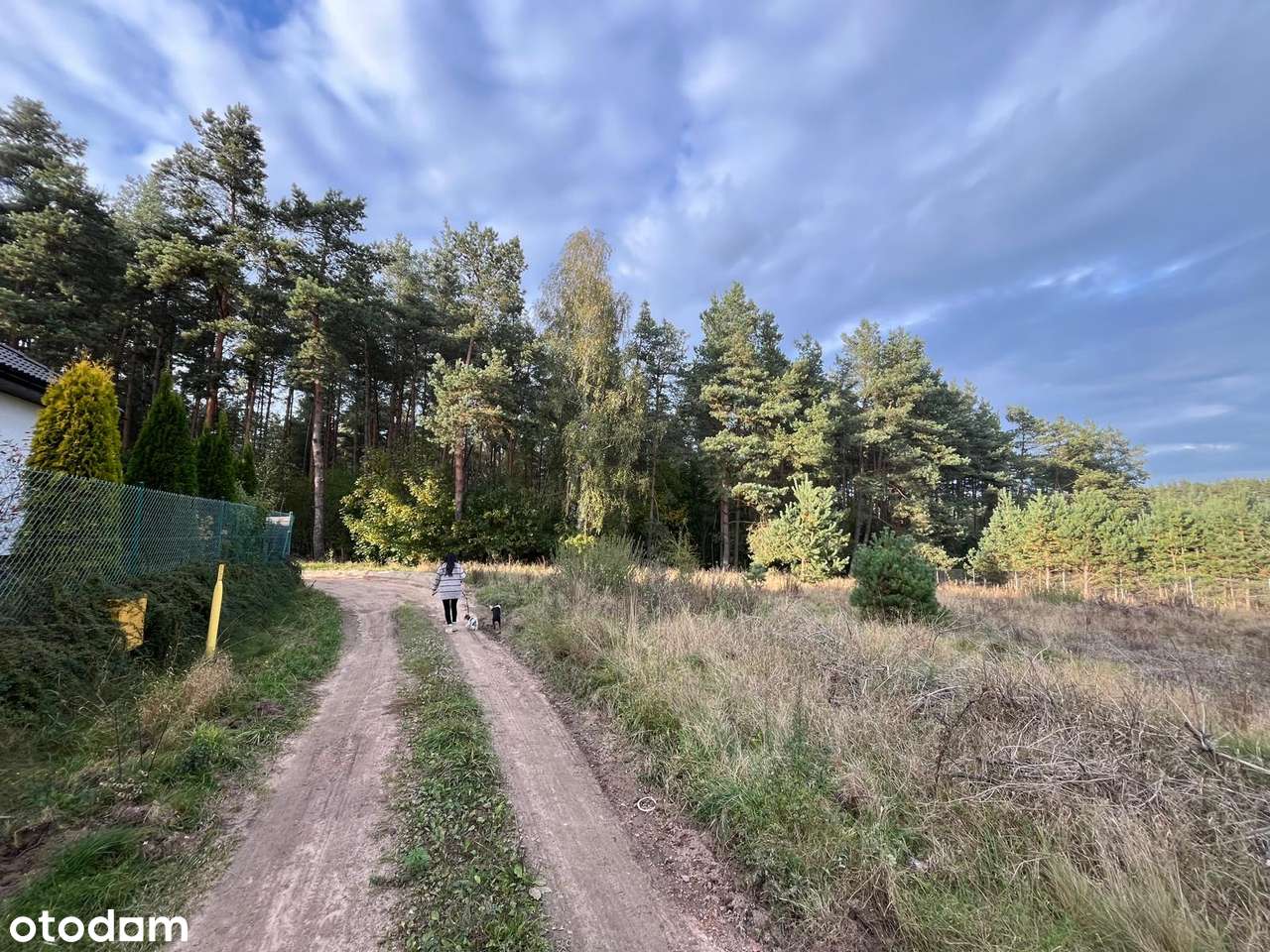 Piękna działka budowlana Sulmin_ pod lasem, blisko jeziora i miasta - Pełny obrazek: 3/8
