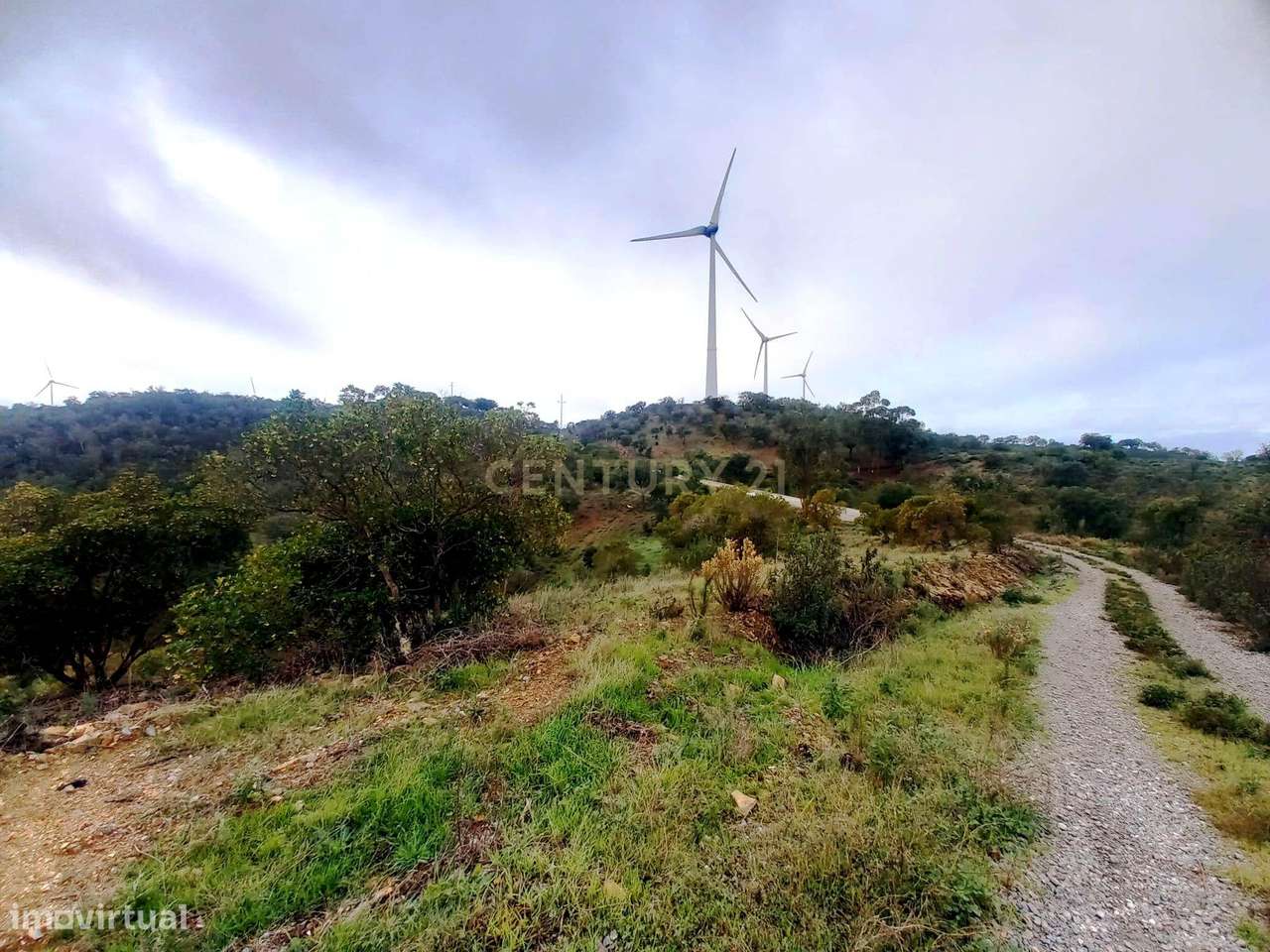 Investimento Rural: 20 Hectares com Rendimento - Grande imagem: 3/15