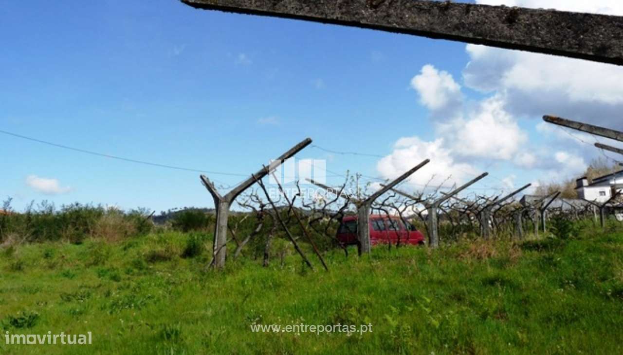 Venda Terreno, Ancede, Baião - Grande imagem: 3/30