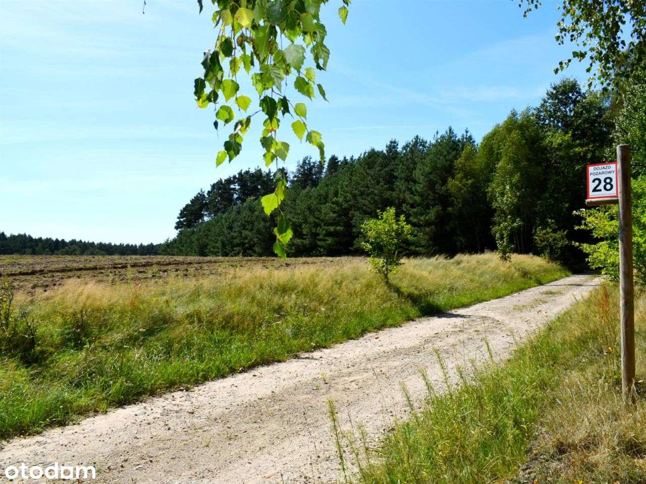 Działka rolna - Ostroróg-13