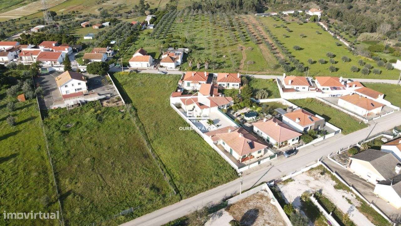 Lote localizado perto de Torres Novas - Grande imagem: 2/20