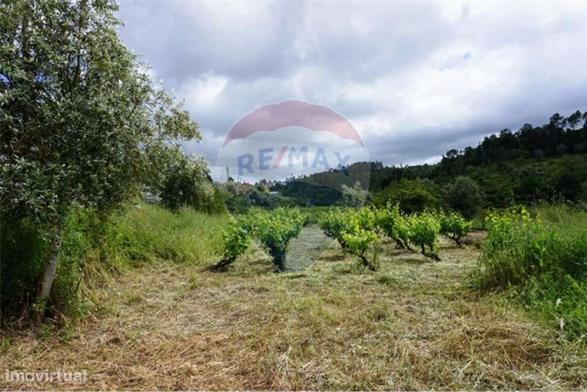 Terreno amplo para construção em Assafarge-Coimbra - Grande imagem: 4/7