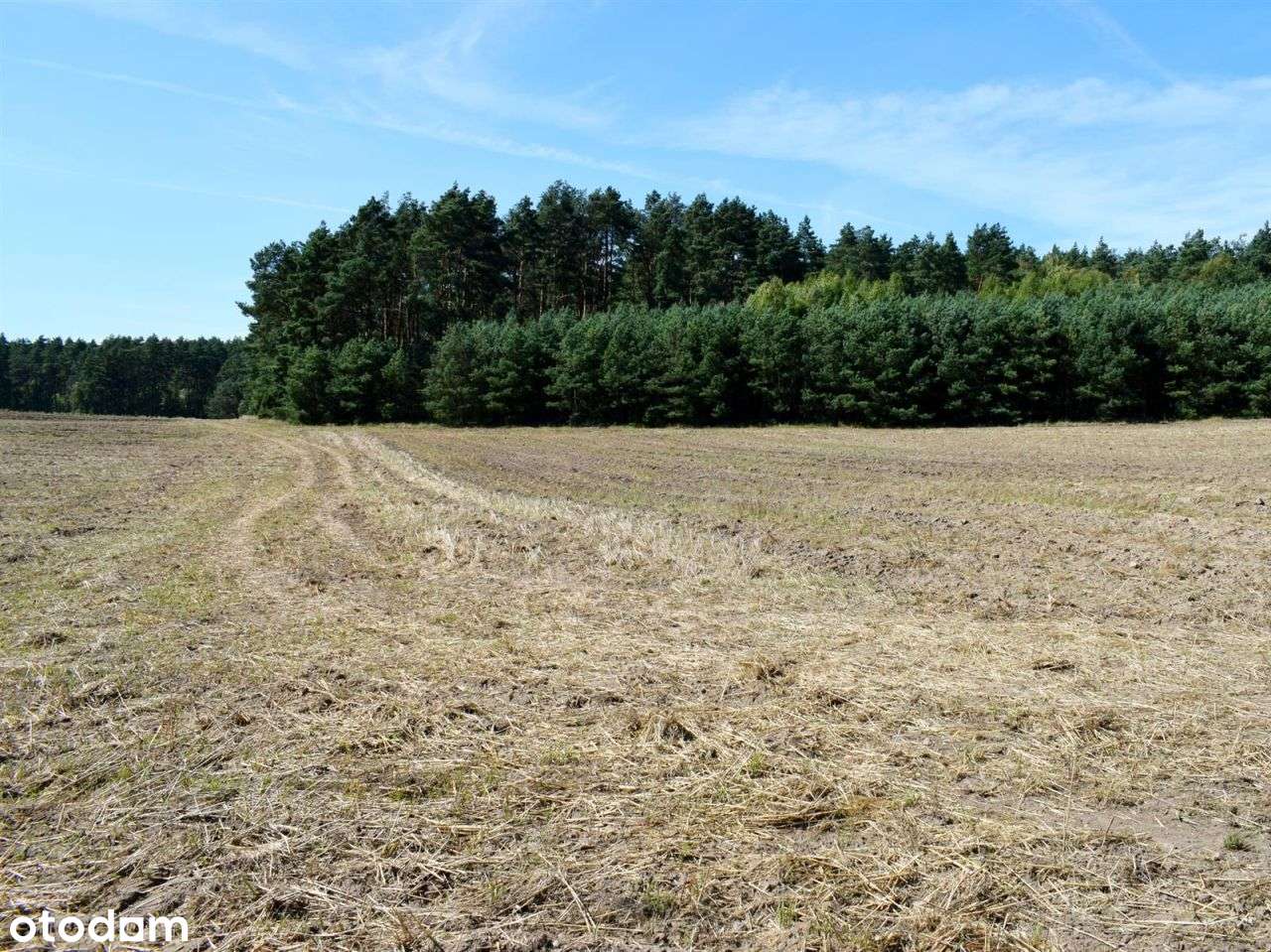 Działka rolna - Ostroróg-18