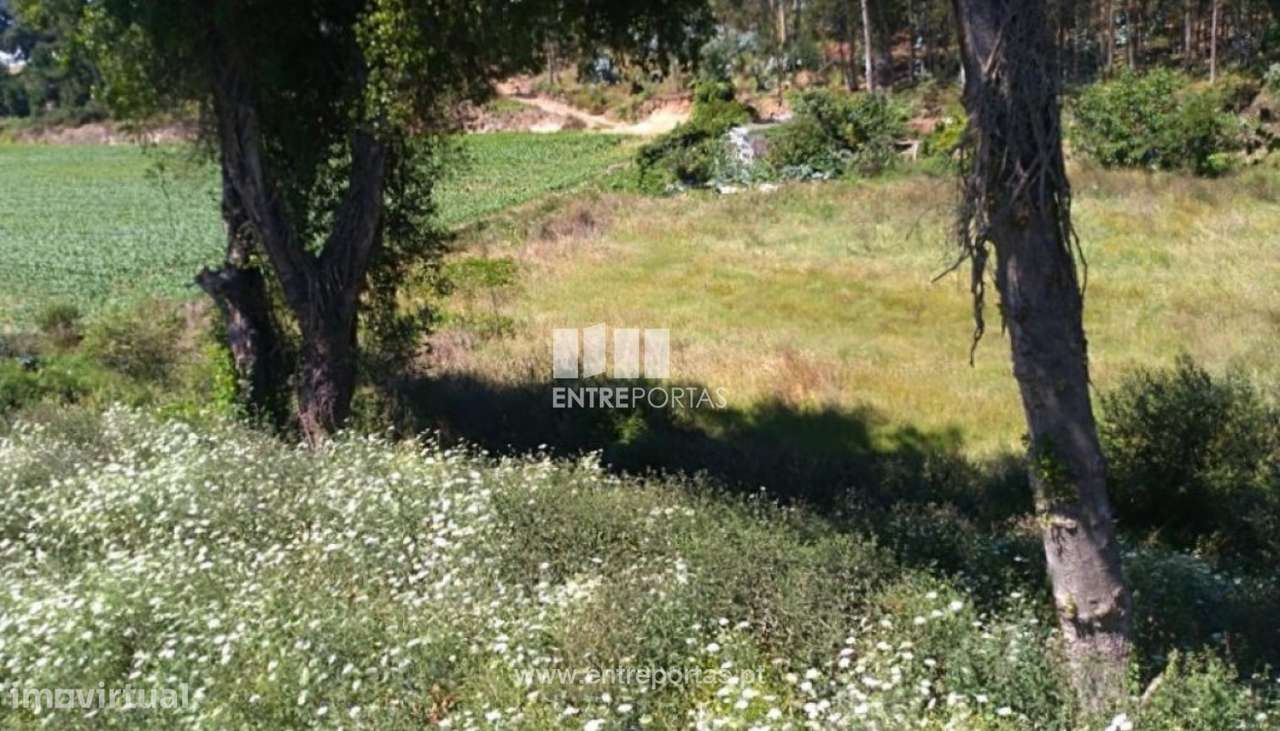 Terreno com 2400 m2, para venda, Retorta, Vila do Conde - Grande imagem: 2/12