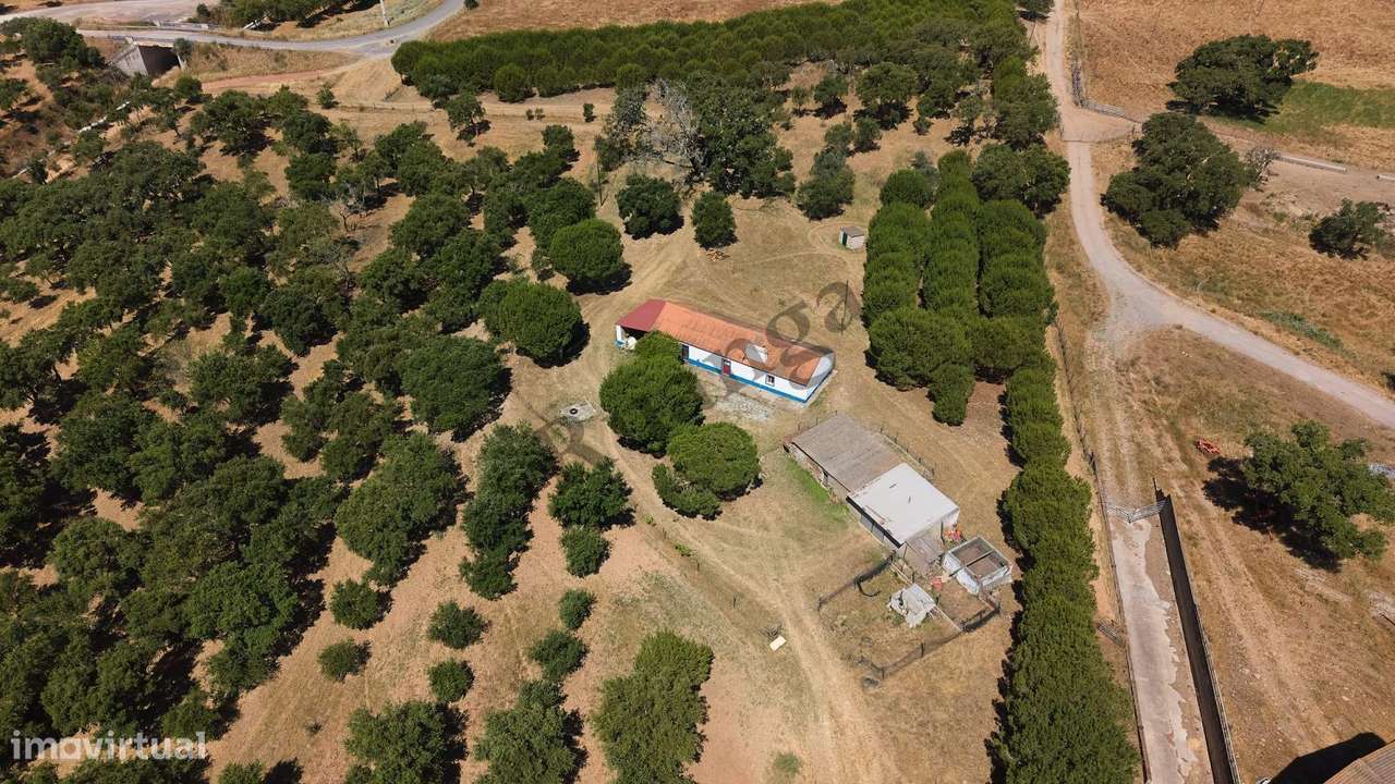 Monte Alentejano com propriedade de 13 HA-24