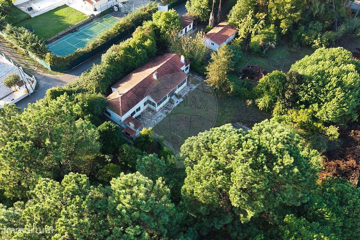 Quinta  para venda - Grande imagem: 3/42