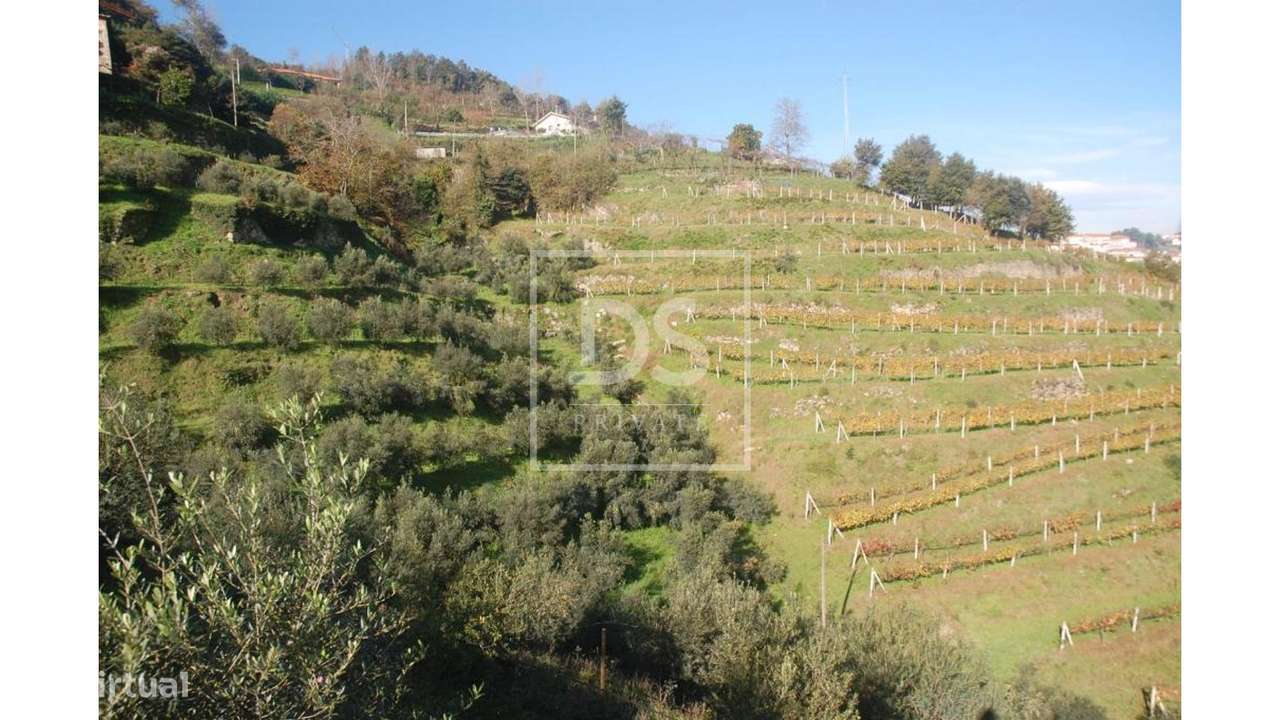 Quinta >=T10 Venda em Paredes de Viadores e Manhuncelos,Marco de Canav-33