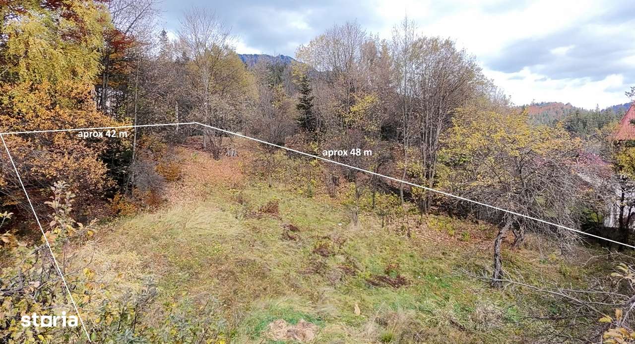 Comision 0 %, teren intravilan 2000 mp, Timisu de Sus, Brasov - Imagine principală: 4/20