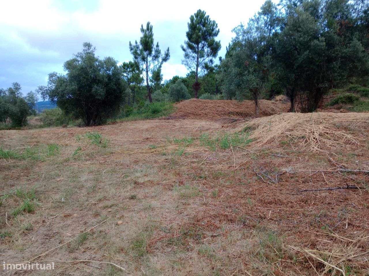 Terreno Urbano com viabilidade para construção em Torre de Vilela - Grande imagem: 5/8