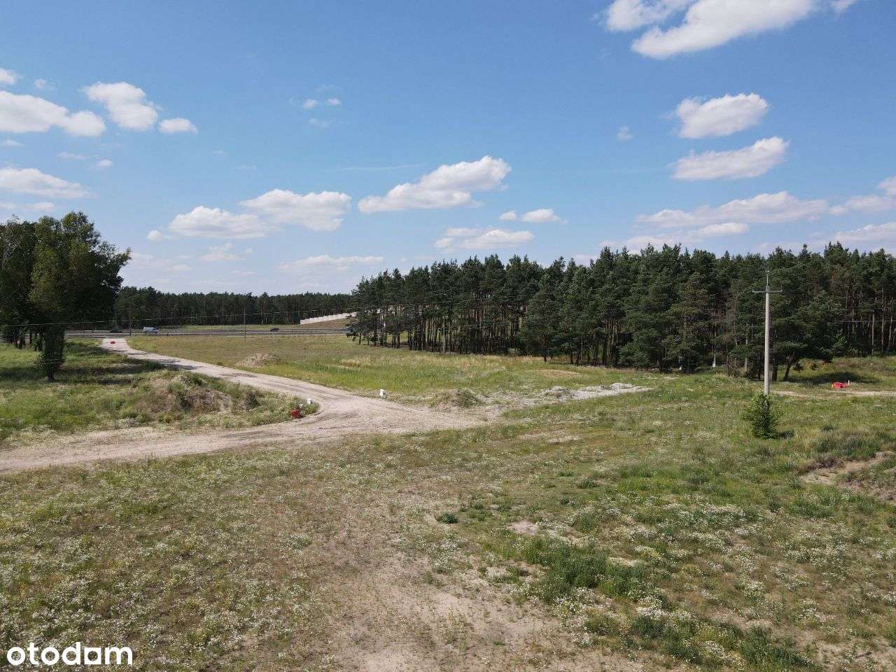 Działka  obok stawu - Skórzewo.  Wodociąg w drodze. - Pełny obrazek: 5/18