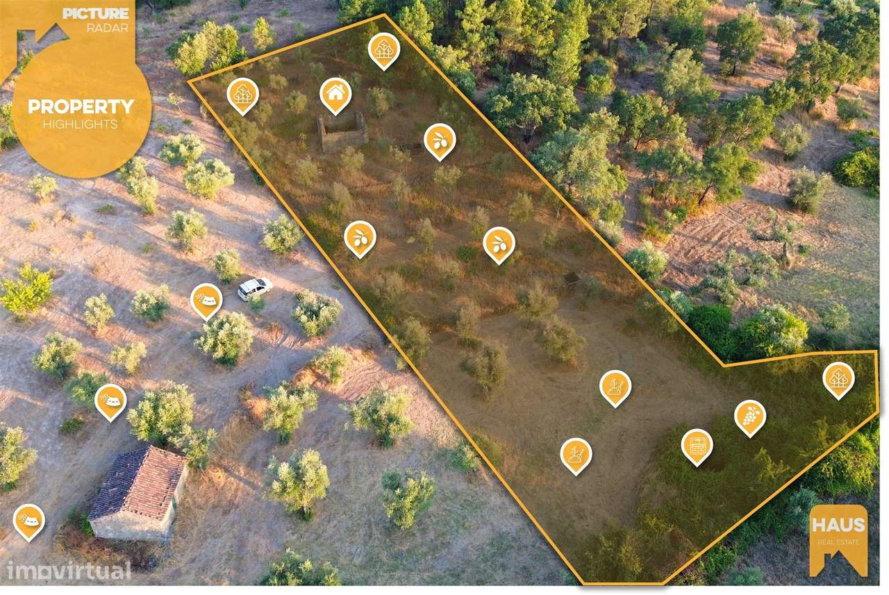 Terreno Rústico de 2.400 m² – 30m2 Ruína, Poço em Pedra, Olival - Grande imagem: 3/40