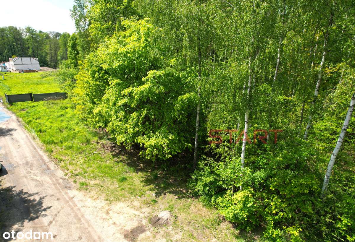 Media, park, Mpzp.-5