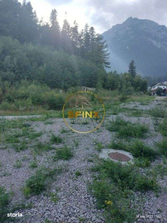 Teren intravilan 15.000 mp Busteni - Imagine principală: 5/5