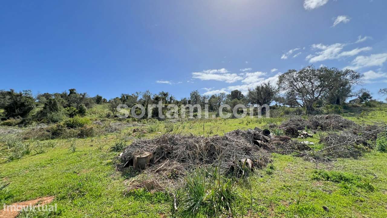 Terreno Para Construção  Venda em Algoz e Tunes,Silves - Grande imagem: 3/10