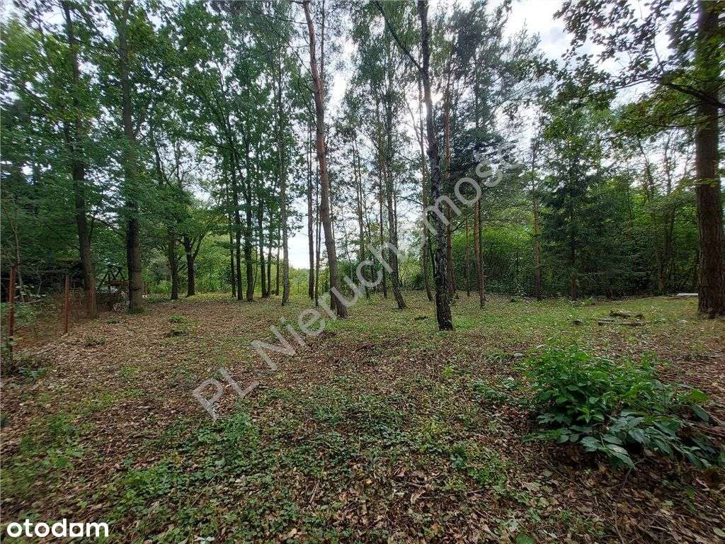 Cisza, Zieleń, Rzeka I Ona - Działka W Łosiu. - Pełny obrazek: 5/20