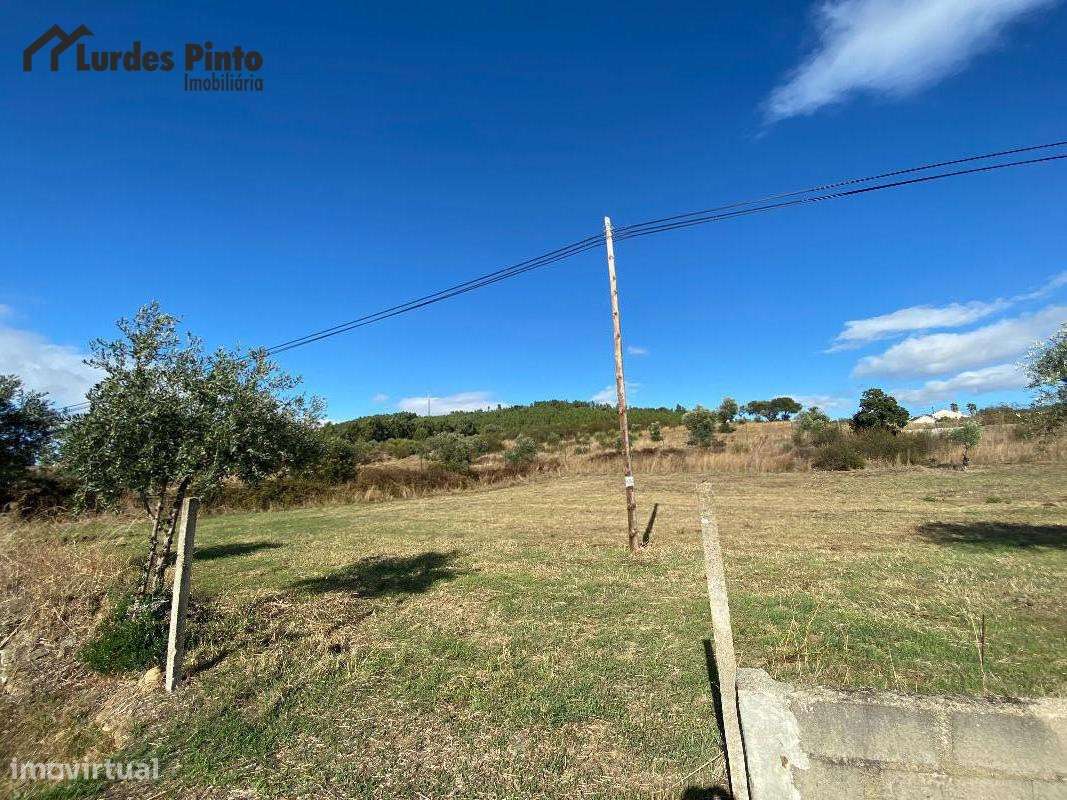 Terreno Agrícola em Palvarinho - Grande imagem: 4/7