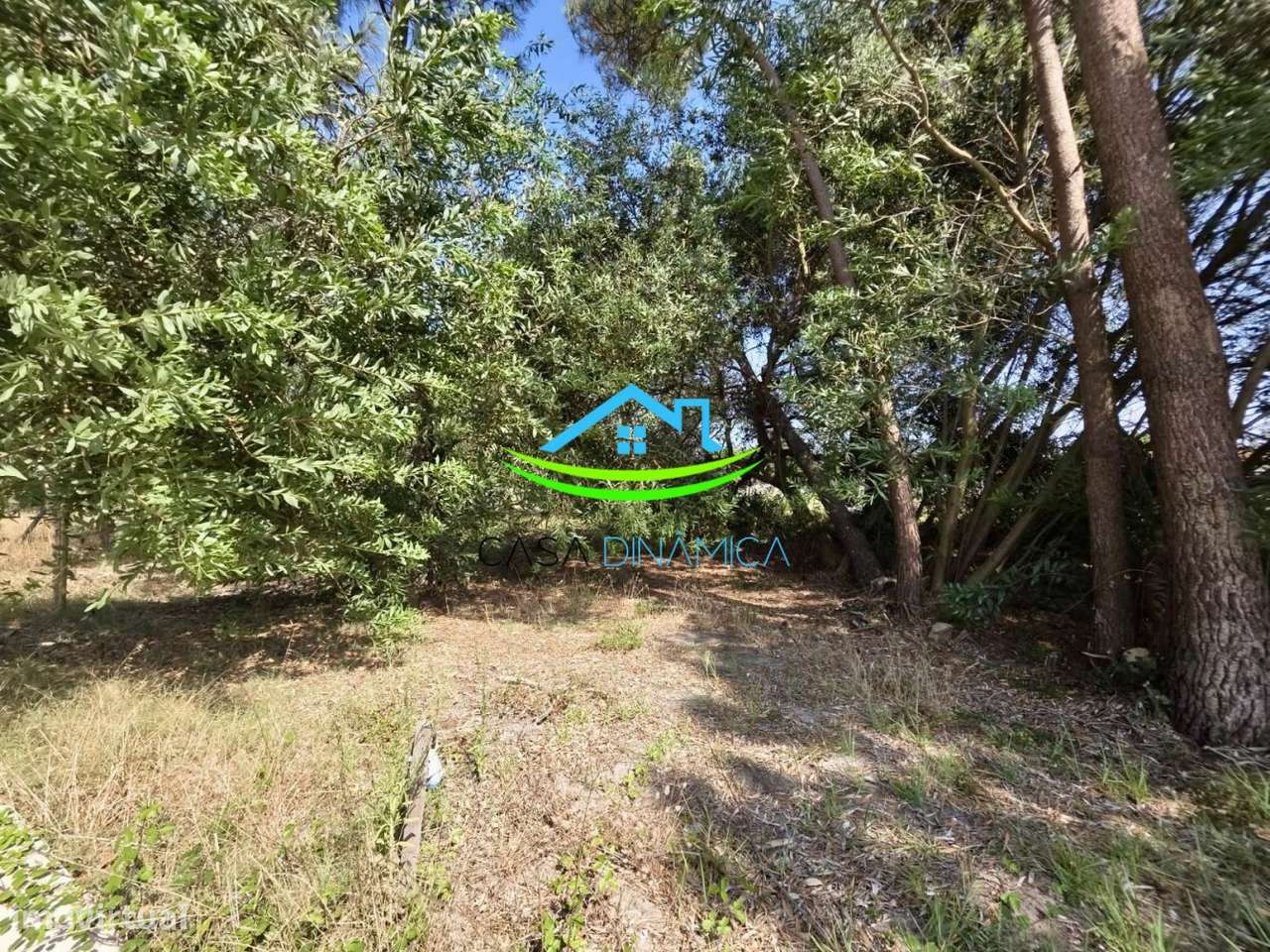 Terreno com 8.369 m² e possibilidade de construção – Arazede, Mon-52