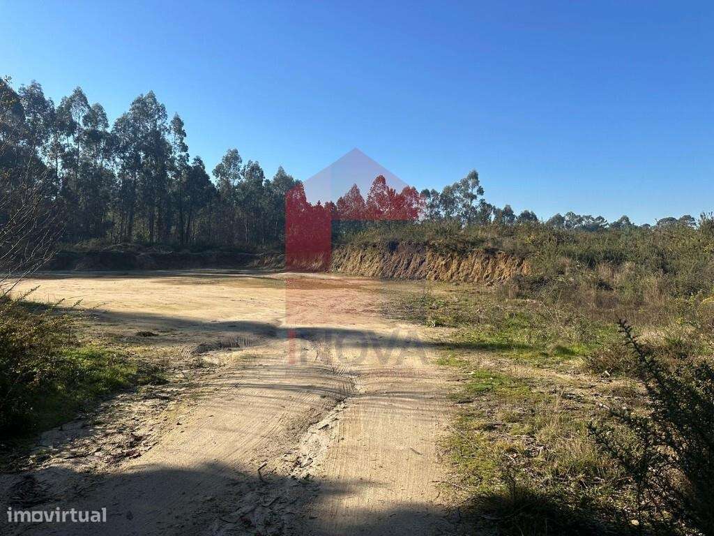 Terreno florestal, Lago - Grande imagem: 5/22