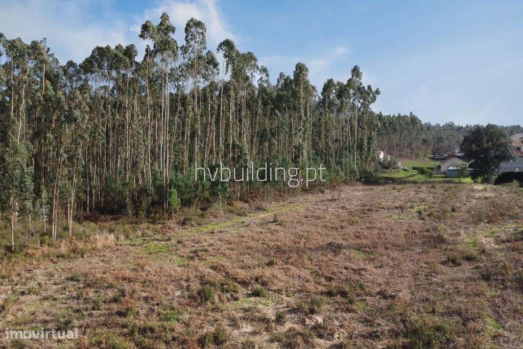 Terreno com potencial de investimento em Igreja Nova, Barcelos - Grande imagem: 5/7