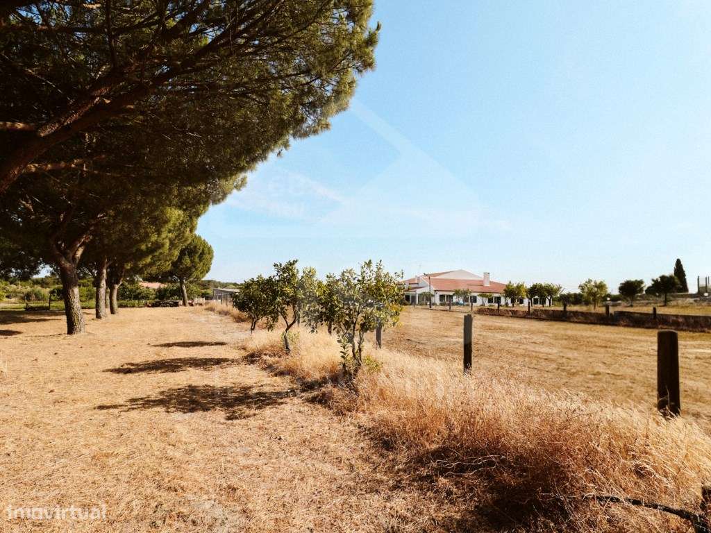 Quinta T5 na Branca-45