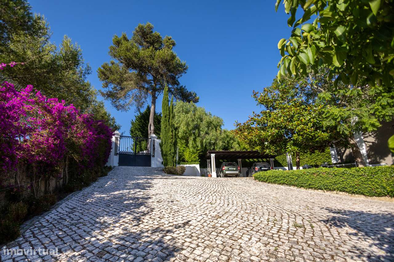 Timeless Elegance  - Sintra-56