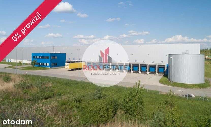 Magazyn na wynajem 3600 m2 Łysomice k.Torunia - Pełny obrazek: 5/6