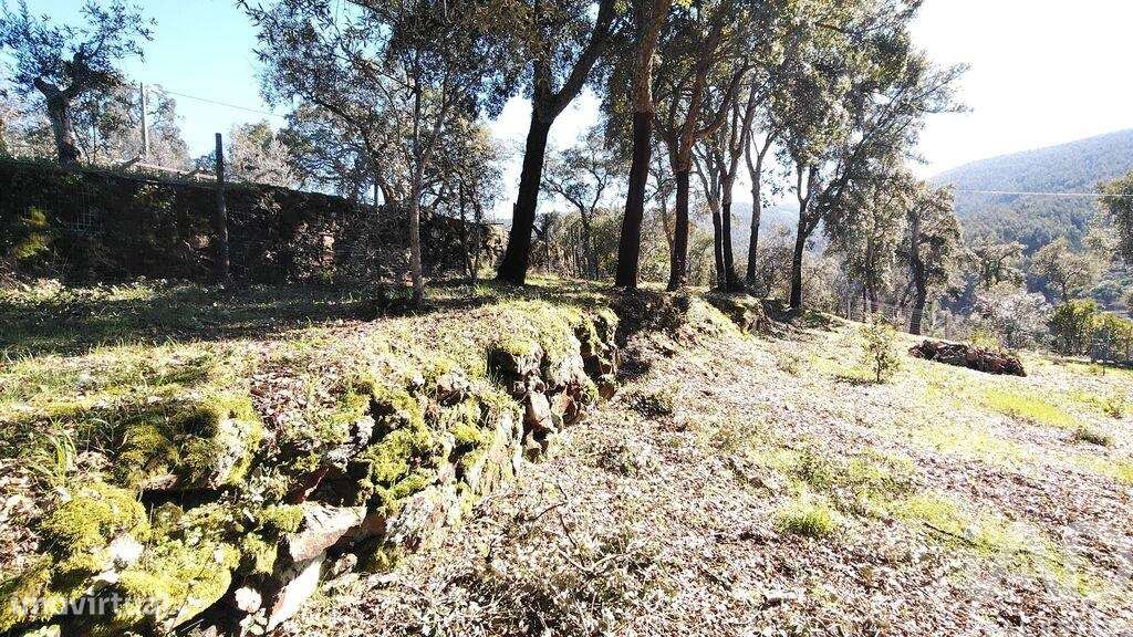 Terreno em Pedrógão Pequeno - Grande imagem: 3/31