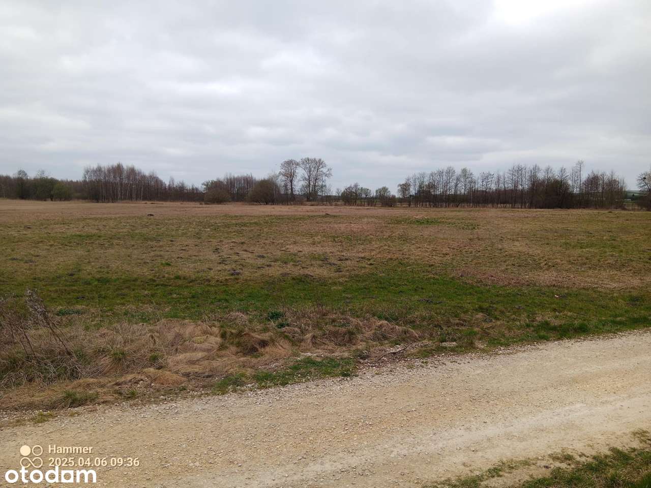 Duża działka nad rzeką  Nida - Pełny obrazek: 4/12