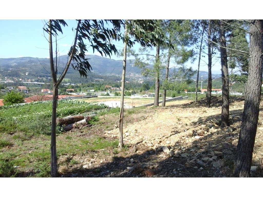 Excelente terreno perto do centro de Ponte de Lima - Grande imagem: 4/5